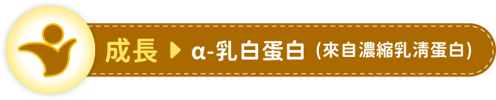 成長 > α-乳白蛋白(來自濃縮乳清蛋白)