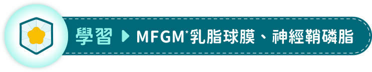 學習 > MFGM*乳脂球膜、神經鞘磷脂