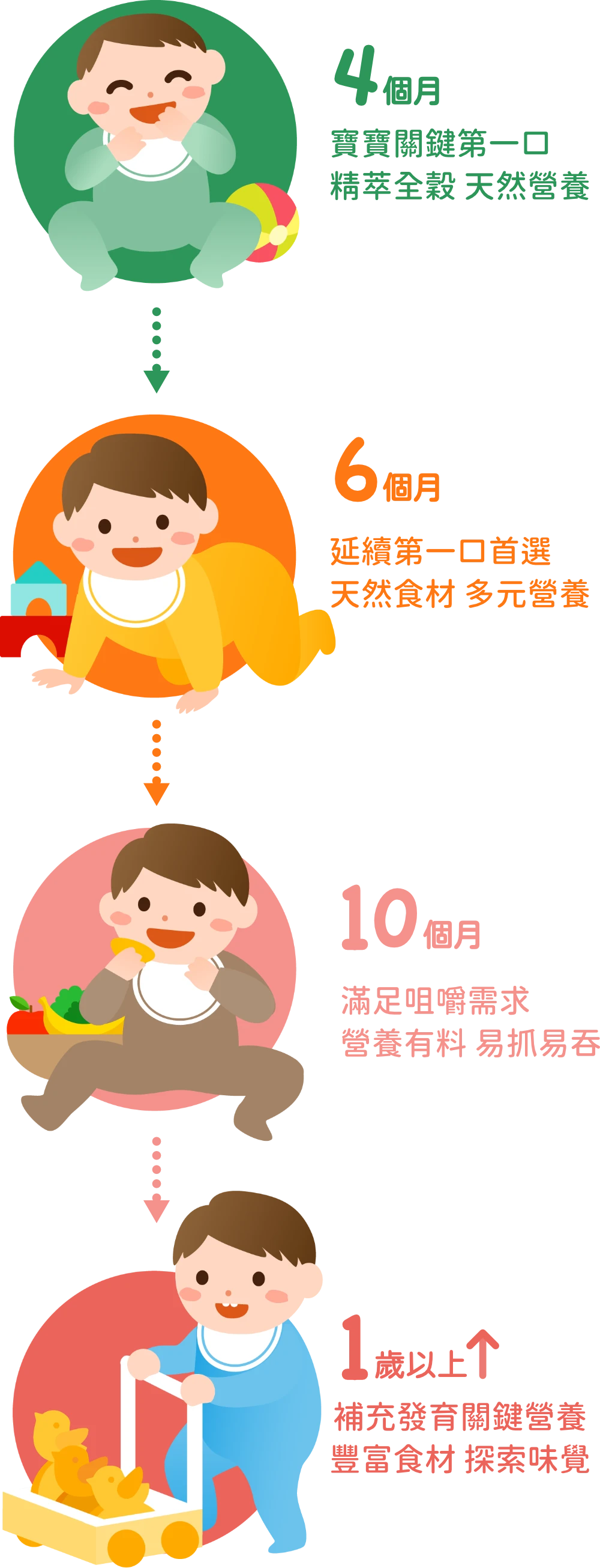 4個月:精粹全榖天然營養，6個月:豐富食材多元營養,10個月:滿足咀嚼需求,1歲以上:補充發育關鍵營養